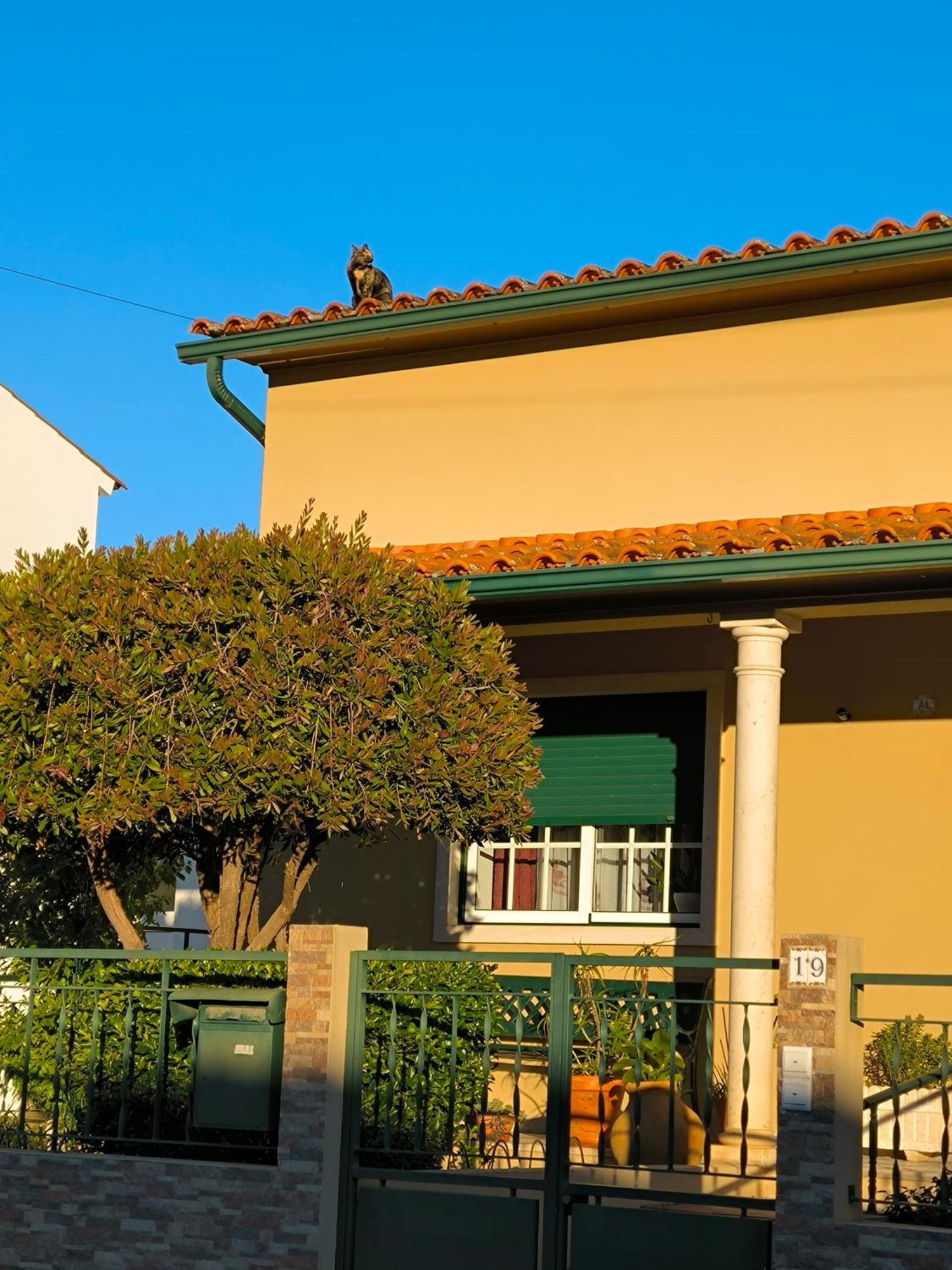 Por A Mor Holiday home Figueiro Dos Vinhos